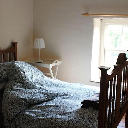 Relaxing Pet Friendly 2-Bed Cottage In Rhandirmwyn Llandovery Buitenkant foto