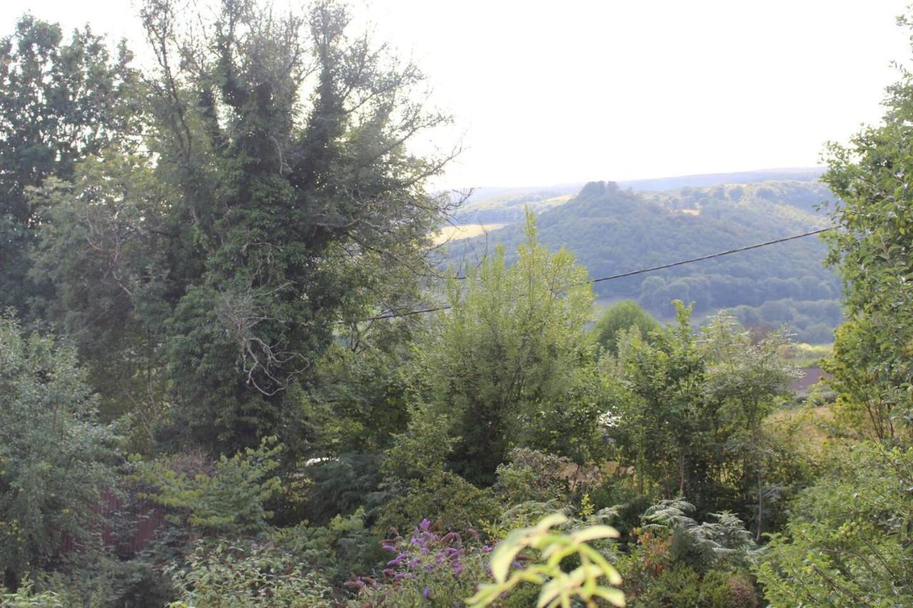 Relaxing Pet Friendly 2-Bed Cottage In Rhandirmwyn Llandovery Buitenkant foto