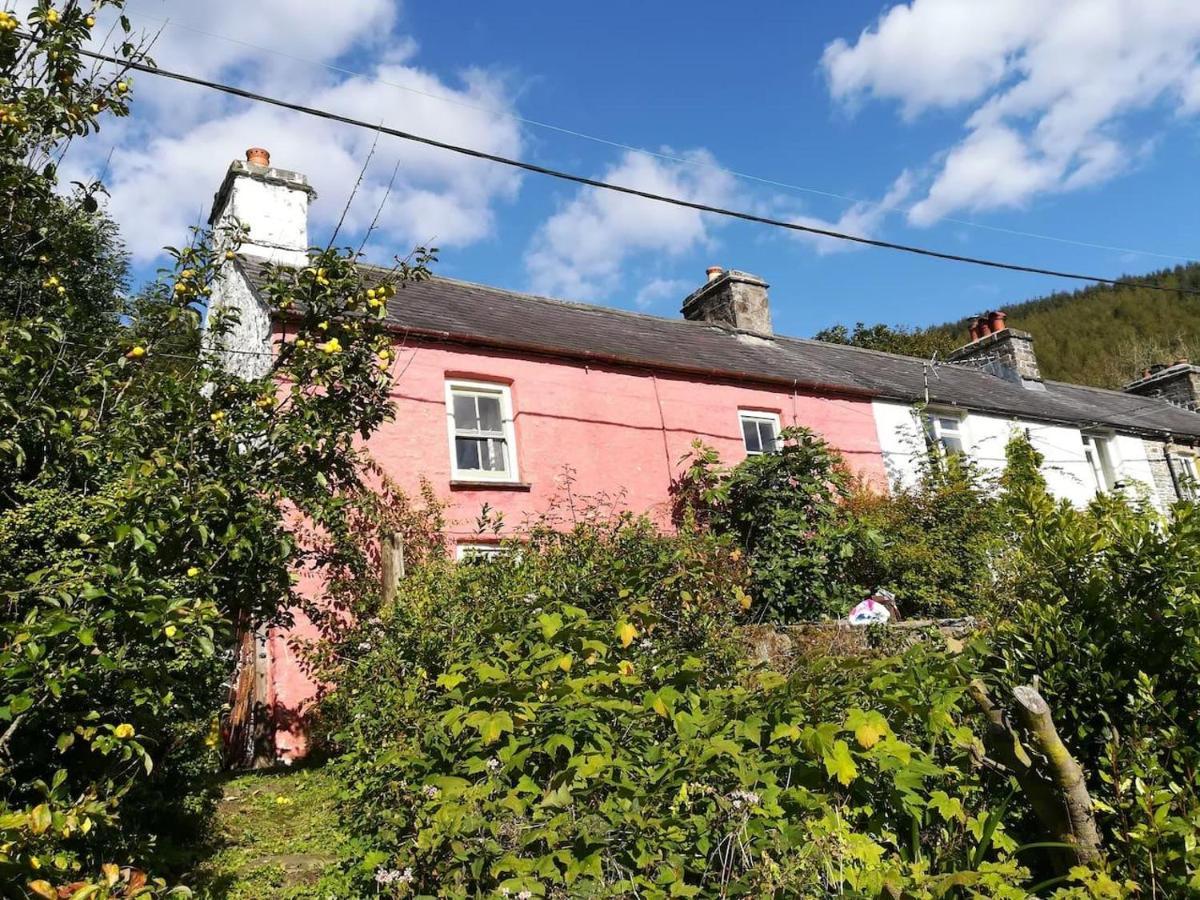 Relaxing Pet Friendly 2-Bed Cottage In Rhandirmwyn Llandovery Buitenkant foto