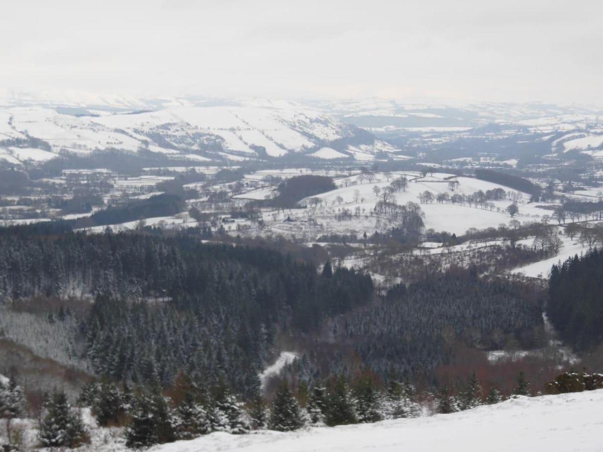 Relaxing Pet Friendly 2-Bed Cottage In Rhandirmwyn Llandovery Buitenkant foto