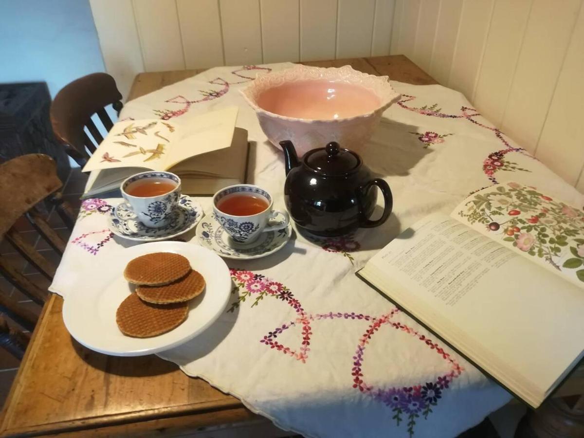 Relaxing Pet Friendly 2-Bed Cottage In Rhandirmwyn Llandovery Buitenkant foto