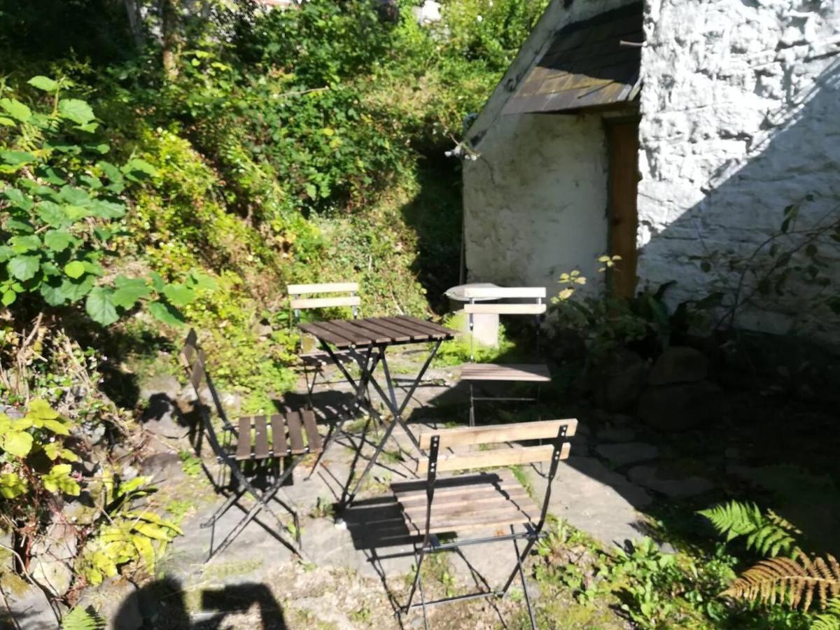 Relaxing Pet Friendly 2-Bed Cottage In Rhandirmwyn Llandovery Buitenkant foto