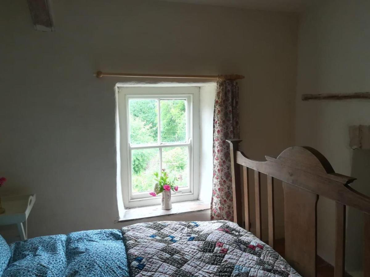 Relaxing Pet Friendly 2-Bed Cottage In Rhandirmwyn Llandovery Buitenkant foto