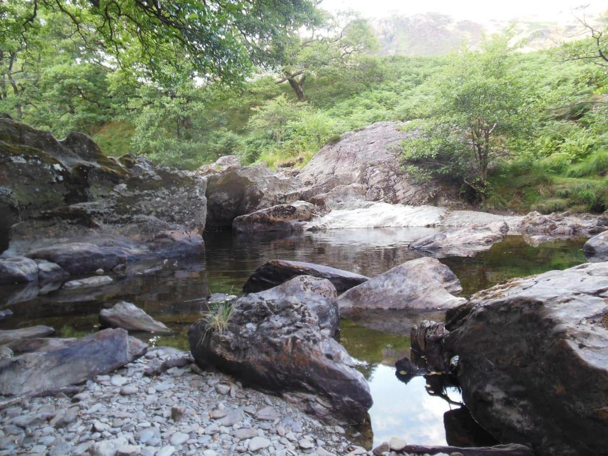 Relaxing Pet Friendly 2-Bed Cottage In Rhandirmwyn Llandovery Buitenkant foto