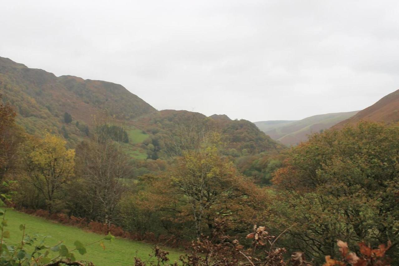 Relaxing Pet Friendly 2-Bed Cottage In Rhandirmwyn Llandovery Buitenkant foto
