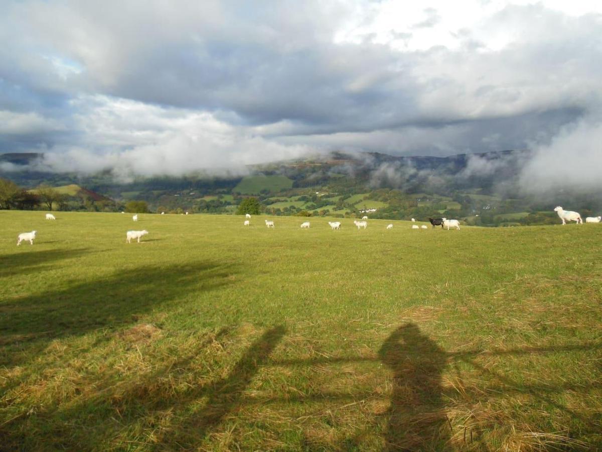 Relaxing Pet Friendly 2-Bed Cottage In Rhandirmwyn Llandovery Buitenkant foto